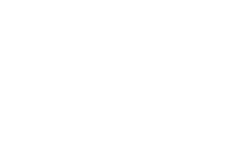 Sentry Watch - All White Logo